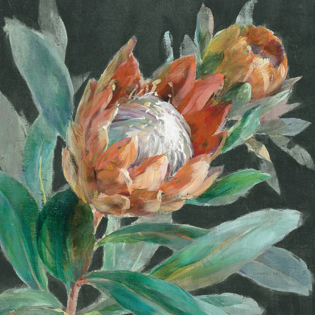 Deep Tropical Protea Crop by Danhui Nai. SKU 69971a. Archival Giclee Fine art print for wall decor.