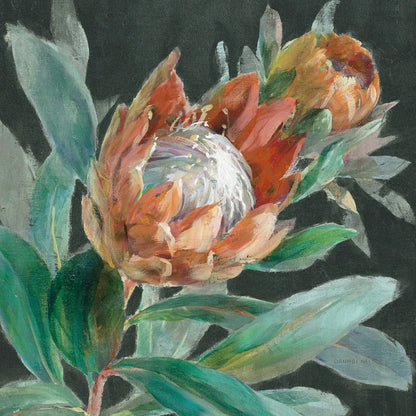 Deep Tropical Protea Crop by Danhui Nai. SKU 69971a. Archival Giclee Fine art print for wall decor.