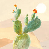 Desert Greenhouse IV by Danhui Nai. SKU 77994a. Archival Giclee Fine art print for wall decor.