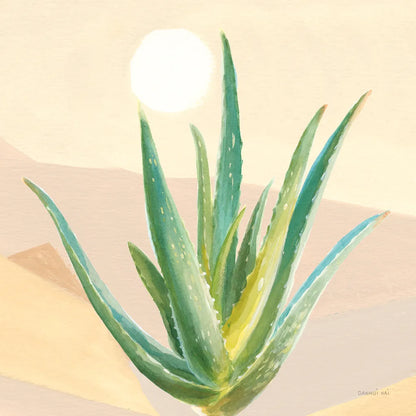 Desert Greenhouse V by Danhui Nai. SKU 77995a. Archival Giclee Fine art print for wall decor.