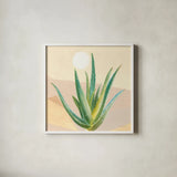 Desert Greenhouse V by Danhui Nai. Shown in a crisp white glass frame for a clean and minimalist style. Available as an archival giclee rolled canvas, fine art paper, or poster print. SKU 77995a.