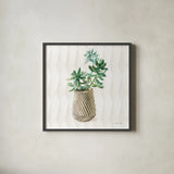 Desert Greenhouse X Sq by Danhui Nai. Shown in a sleek black glass frame for a contemporary gallery look. Available as an archival giclee rolled canvas, fine art paper, or poster print. SKU 80182a.