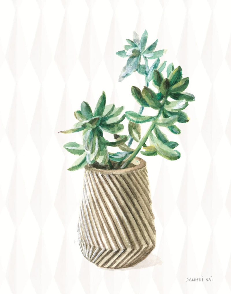 Desert Greenhouse X Subtle by Danhui Nai