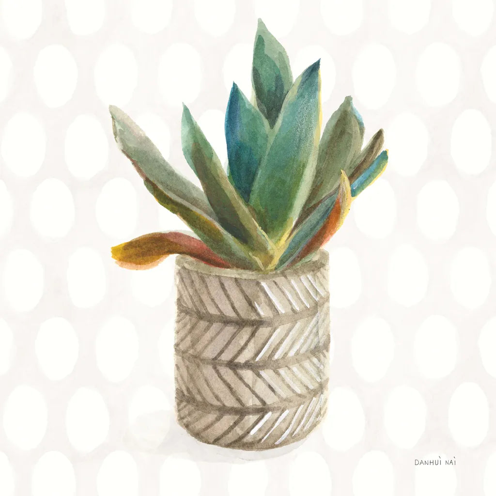 Desert Greenhouse XIII Sq by Danhui Nai. SKU 80183a. Archival Giclee Fine art print for wall decor.