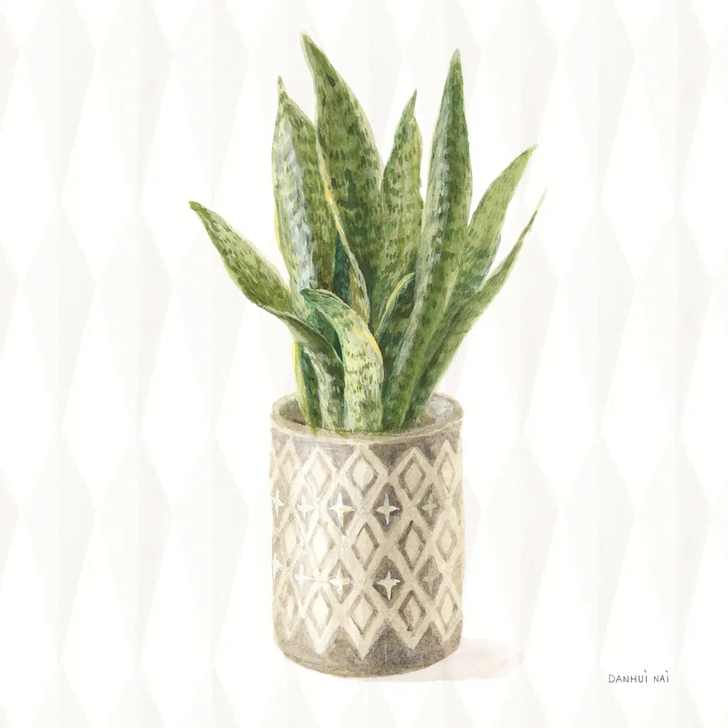 Desert Greenhouse XVI Sq by Danhui Nai. SKU 80184a. Archival Giclee Fine art print for wall decor.