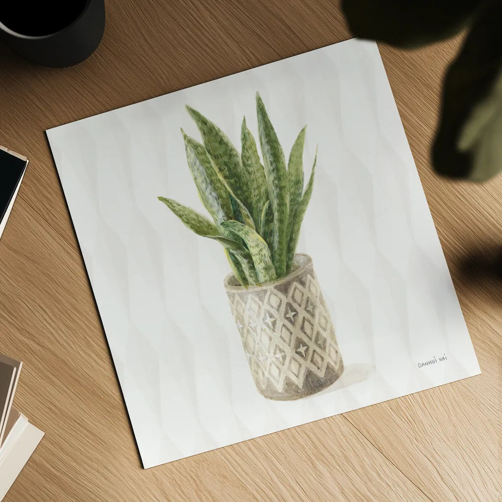 Desert Greenhouse XVI Sq by Danhui Nai. Shown as a detailed flat fine art print, highlighting archival giclee quality. Available as an archival giclee rolled canvas, fine art paper, or poster print. SKU 80184a.