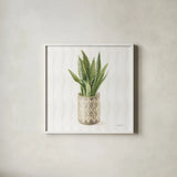 Desert Greenhouse XVI Sq by Danhui Nai. Shown in a crisp white glass frame for a clean and minimalist style. Available as an archival giclee rolled canvas, fine art paper, or poster print. SKU 80184a.
