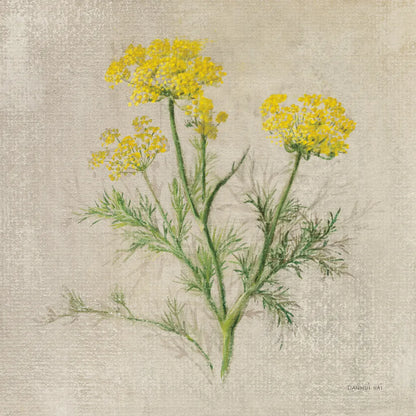 Dill by Danhui Nai. SKU 100976a. Archival Giclee Fine art print for wall decor.