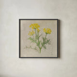 Dill by Danhui Nai. Shown in a sleek black glass frame for a contemporary gallery look. Available as an archival giclee rolled canvas, fine art paper, or poster print. SKU 100976a.