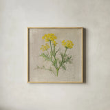 Dill by Danhui Nai. Shown in a natural wood glass frame for a timeless modern aesthetic. Available as an archival giclee rolled canvas, fine art paper, or poster print. SKU 100976a.