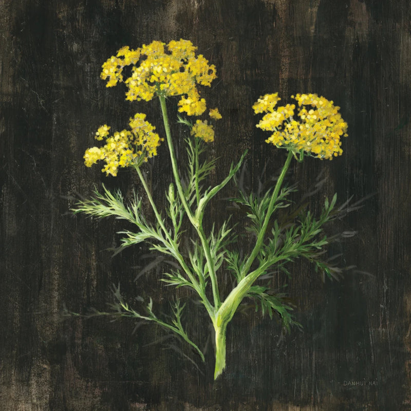 Dill v2 by Danhui Nai