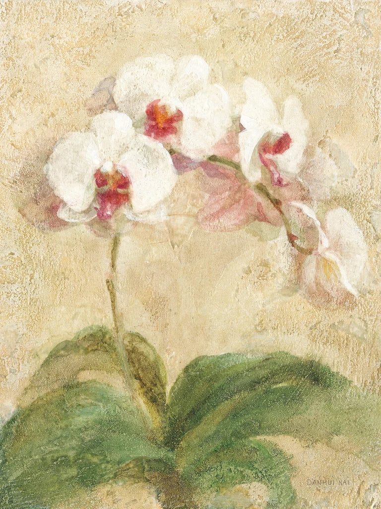 Dreamy Orchids I by Danhui Nai