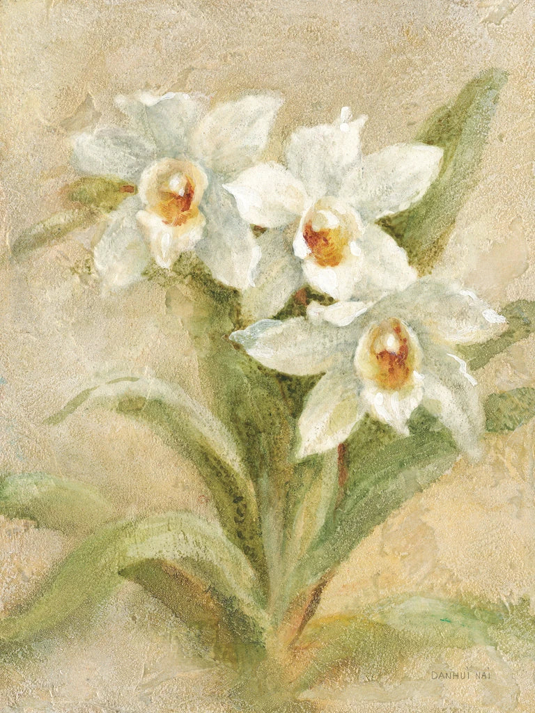 Dreamy Orchids II by Danhui Nai