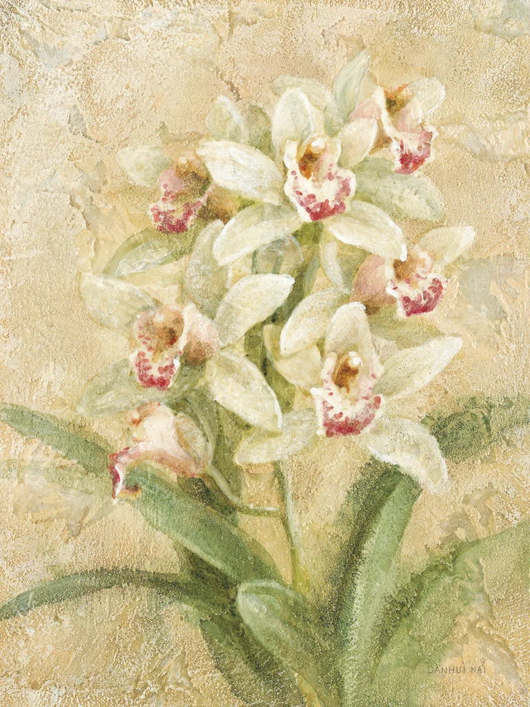 Dreamy Orchids III by Danhui Nai