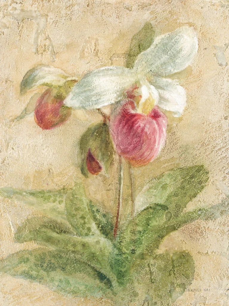 Dreamy Orchids IV by Danhui Nai