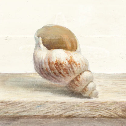 Driftwood Shell I by Danhui Nai. SKU 66975a. Archival Giclee Fine art print for wall decor.