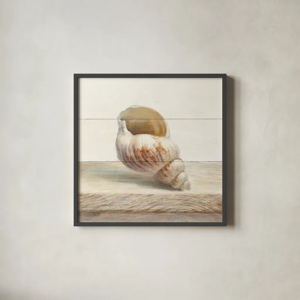 Driftwood Shell I by Danhui Nai. Shown in a sleek black glass frame for a contemporary gallery look. Available as an archival giclee rolled canvas, fine art paper, or poster print. SKU 66975a.