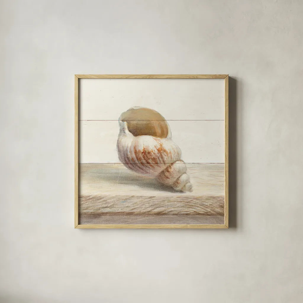 Driftwood Shell I by Danhui Nai. Shown in a natural wood glass frame for a timeless modern aesthetic. Available as an archival giclee rolled canvas, fine art paper, or poster print. SKU 66975a.