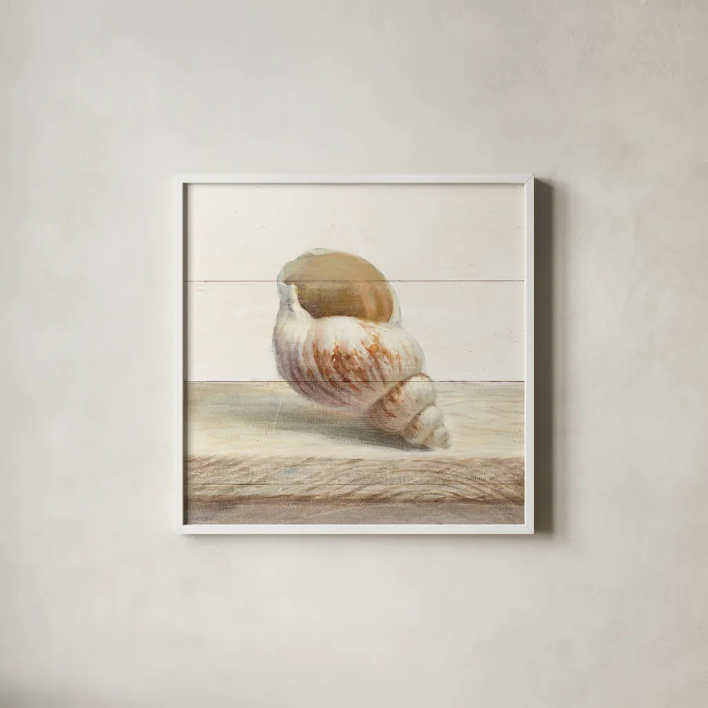 Driftwood Shell I by Danhui Nai. Shown in a crisp white glass frame for a clean and minimalist style. Available as an archival giclee rolled canvas, fine art paper, or poster print. SKU 66975a.