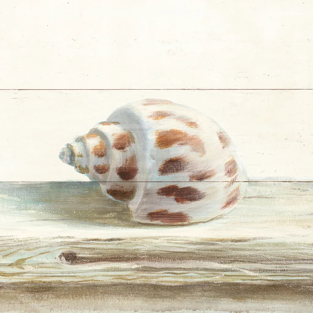 Driftwood Shell II by Danhui Nai. SKU 66976a. Archival Giclee Fine art print for wall decor.