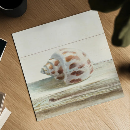 Driftwood Shell II by Danhui Nai. Shown as a detailed flat fine art print, highlighting archival giclee quality. Available as an archival giclee rolled canvas, fine art paper, or poster print. SKU 66976a.