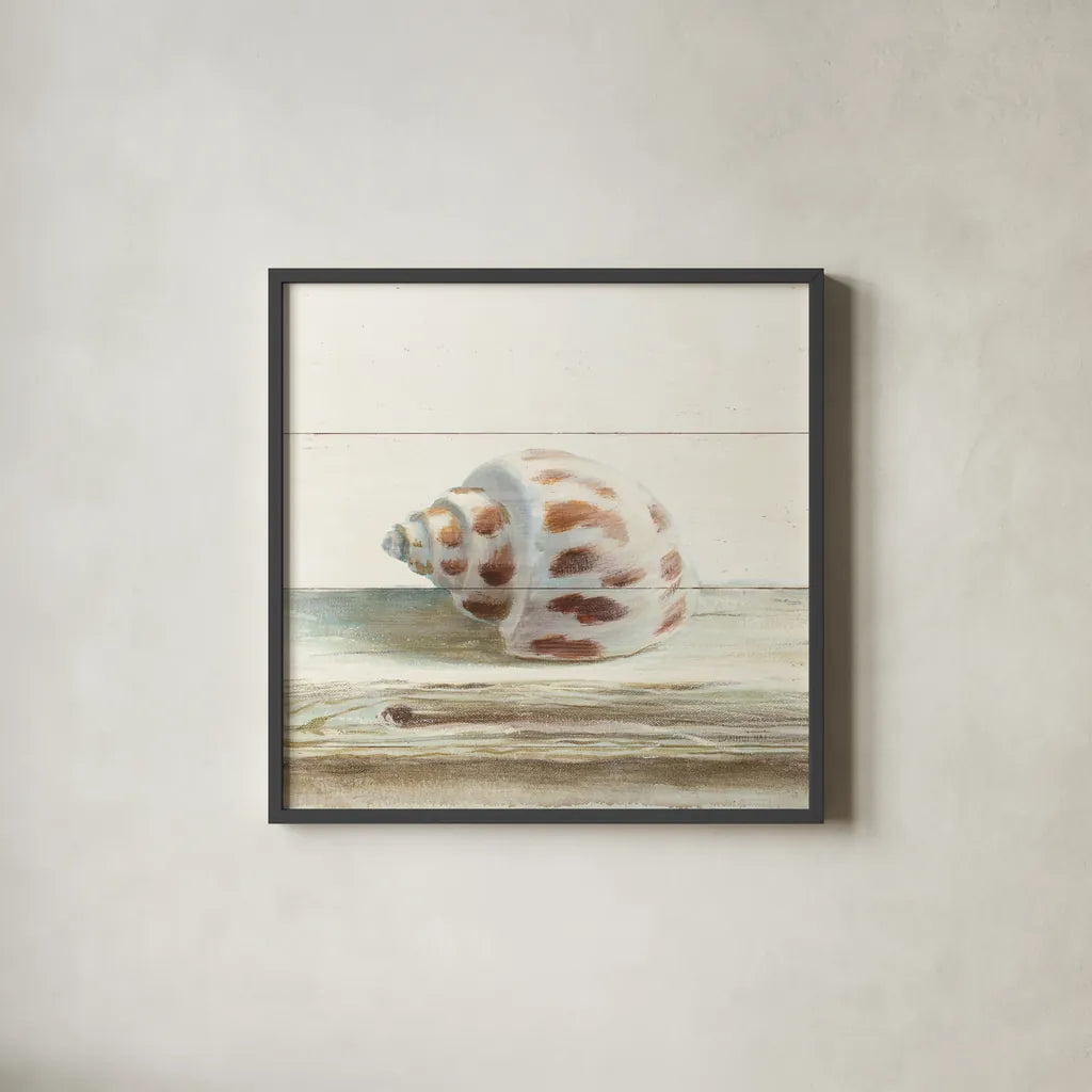 Driftwood Shell II by Danhui Nai. Shown in a sleek black glass frame for a contemporary gallery look. Available as an archival giclee rolled canvas, fine art paper, or poster print. SKU 66976a.