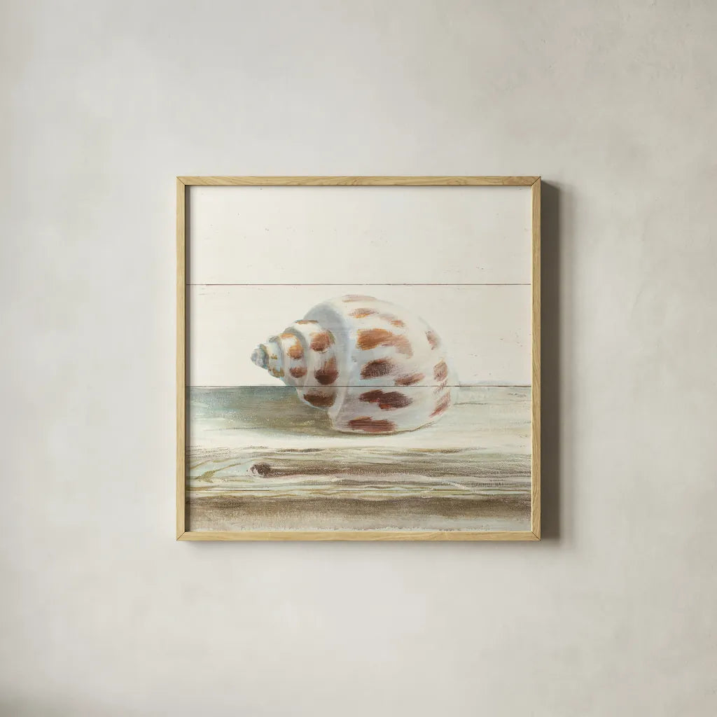 Driftwood Shell II by Danhui Nai. Shown in a natural wood glass frame for a timeless modern aesthetic. Available as an archival giclee rolled canvas, fine art paper, or poster print. SKU 66976a.