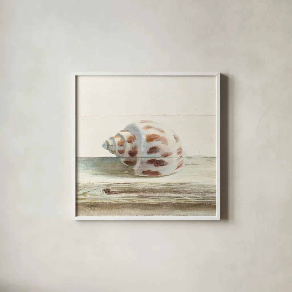 Driftwood Shell II by Danhui Nai. Shown in a crisp white glass frame for a clean and minimalist style. Available as an archival giclee rolled canvas, fine art paper, or poster print. SKU 66976a.