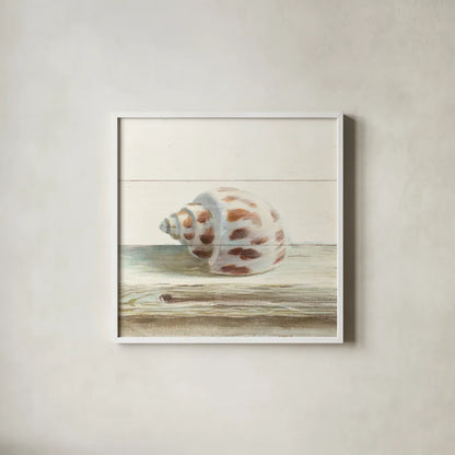 Driftwood Shell II by Danhui Nai. Shown in a crisp white glass frame for a clean and minimalist style. Available as an archival giclee rolled canvas, fine art paper, or poster print. SKU 66976a.