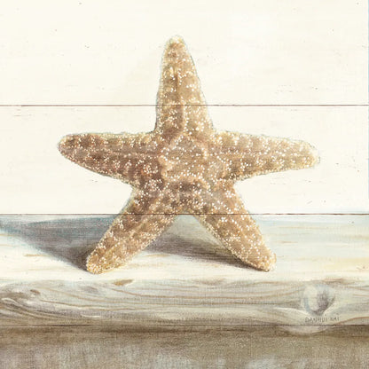 Driftwood Shell III by Danhui Nai. SKU 66977a. Archival Giclee Fine art print for wall decor.