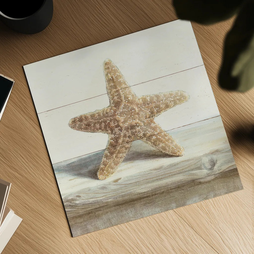 Driftwood Shell III by Danhui Nai. Shown as a detailed flat fine art print, highlighting archival giclee quality. Available as an archival giclee rolled canvas, fine art paper, or poster print. SKU 66977a.