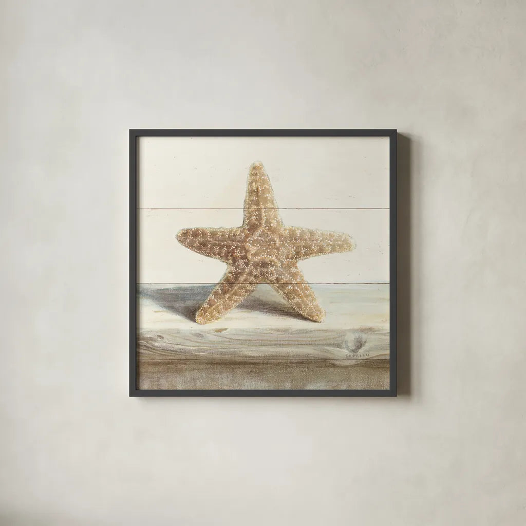 Driftwood Shell III by Danhui Nai. Shown in a sleek black glass frame for a contemporary gallery look. Available as an archival giclee rolled canvas, fine art paper, or poster print. SKU 66977a.