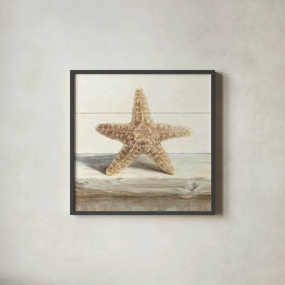 Driftwood Shell III by Danhui Nai. Shown in a sleek black glass frame for a contemporary gallery look. Available as an archival giclee rolled canvas, fine art paper, or poster print. SKU 66977a.