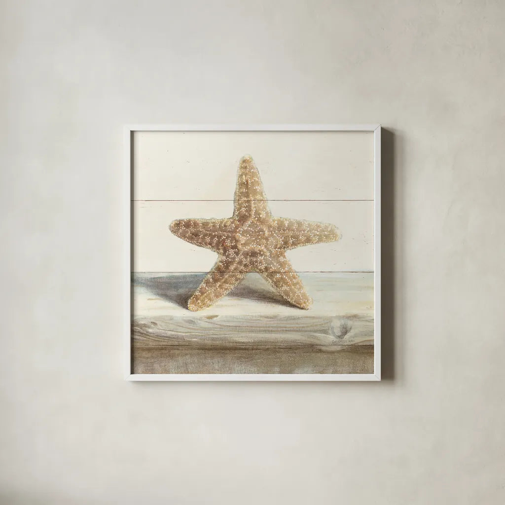 Driftwood Shell III by Danhui Nai. Shown in a crisp white glass frame for a clean and minimalist style. Available as an archival giclee rolled canvas, fine art paper, or poster print. SKU 66977a.