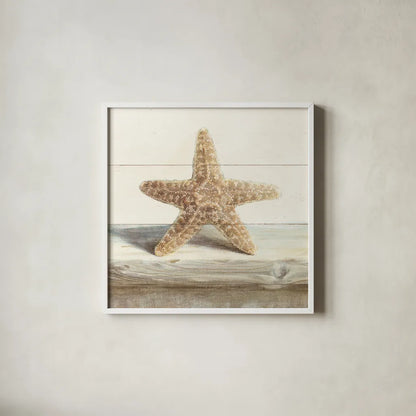 Driftwood Shell III by Danhui Nai. Shown in a crisp white glass frame for a clean and minimalist style. Available as an archival giclee rolled canvas, fine art paper, or poster print. SKU 66977a.