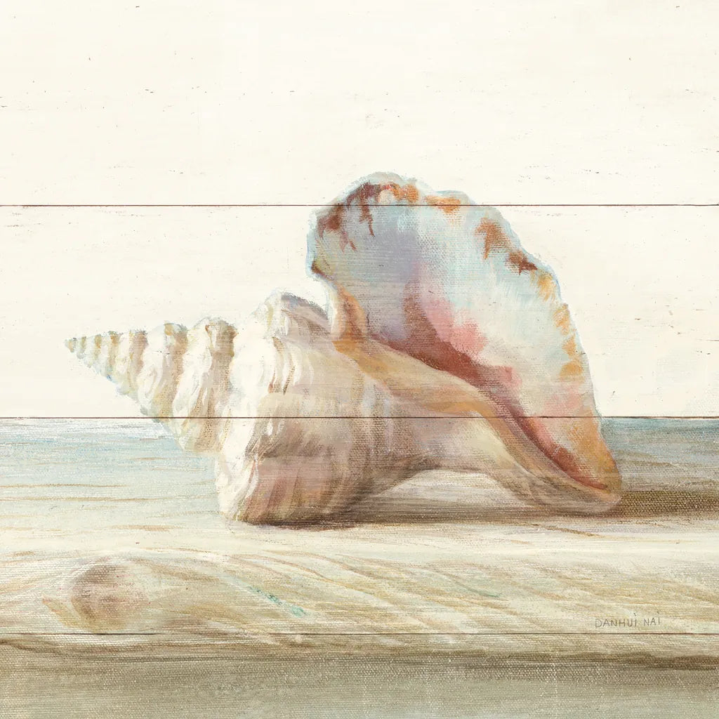 Driftwood Shell IV by Danhui Nai. SKU 66978a. Archival Giclee Fine art print for wall decor.