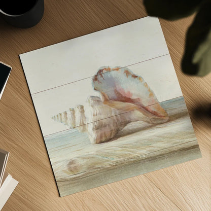 Driftwood Shell IV by Danhui Nai. Shown as a detailed flat fine art print, highlighting archival giclee quality. Available as an archival giclee rolled canvas, fine art paper, or poster print. SKU 66978a.