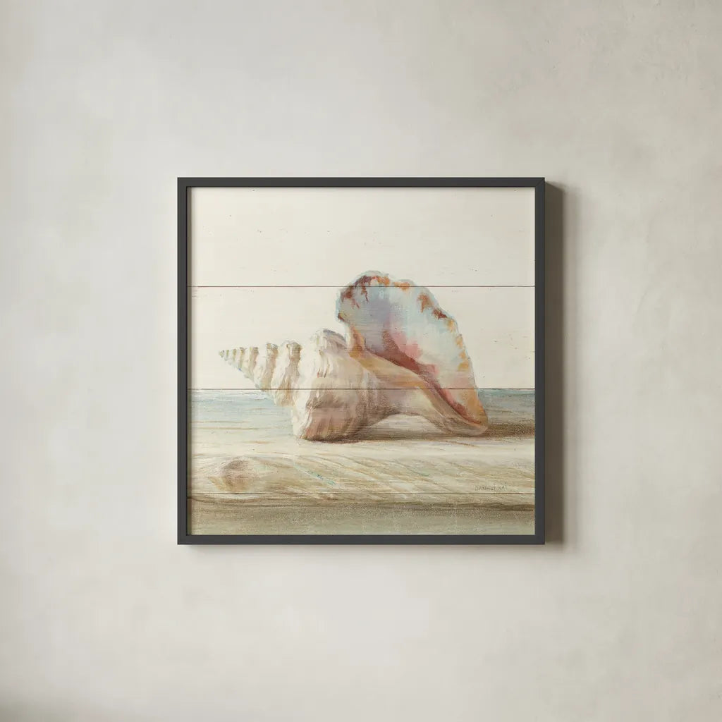 Driftwood Shell IV by Danhui Nai. Shown in a sleek black glass frame for a contemporary gallery look. Available as an archival giclee rolled canvas, fine art paper, or poster print. SKU 66978a.