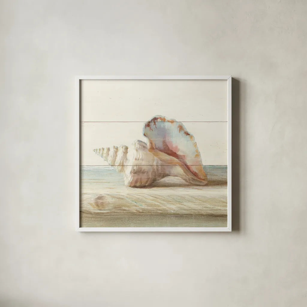Driftwood Shell IV by Danhui Nai. Shown in a crisp white glass frame for a clean and minimalist style. Available as an archival giclee rolled canvas, fine art paper, or poster print. SKU 66978a.