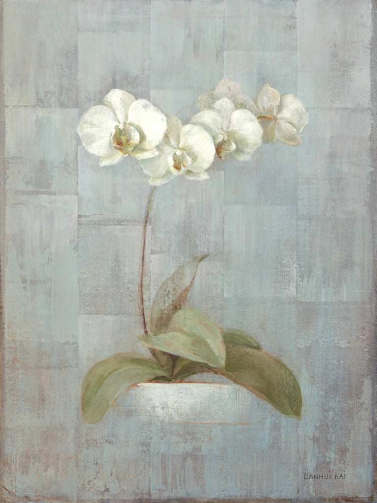 Elegant Orchid I by Danhui Nai