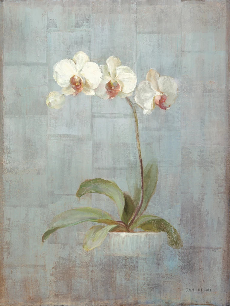 Elegant Orchid II by Danhui Nai