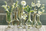 Essence of May by Danhui Nai. SKU 22196i. Archival Giclee Fine art print for wall decor.