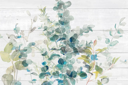 Eucalyptus I on Shiplap Crop by Danhui Nai. SKU 36124i. Archival Giclee Fine art print for wall decor.