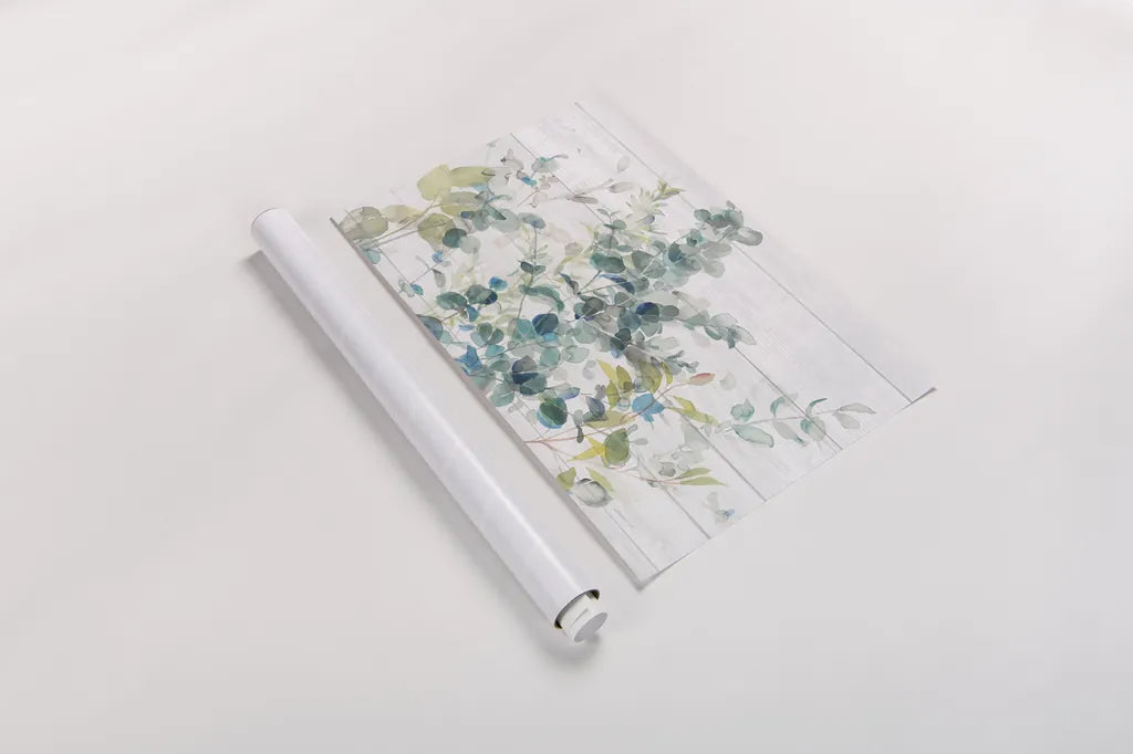 Eucalyptus I on Shiplap Crop by Danhui Nai. shown as a rolled paper print. Available as archival giclee rolled canvas, fine art paper, or poster print. SKU 36124i.