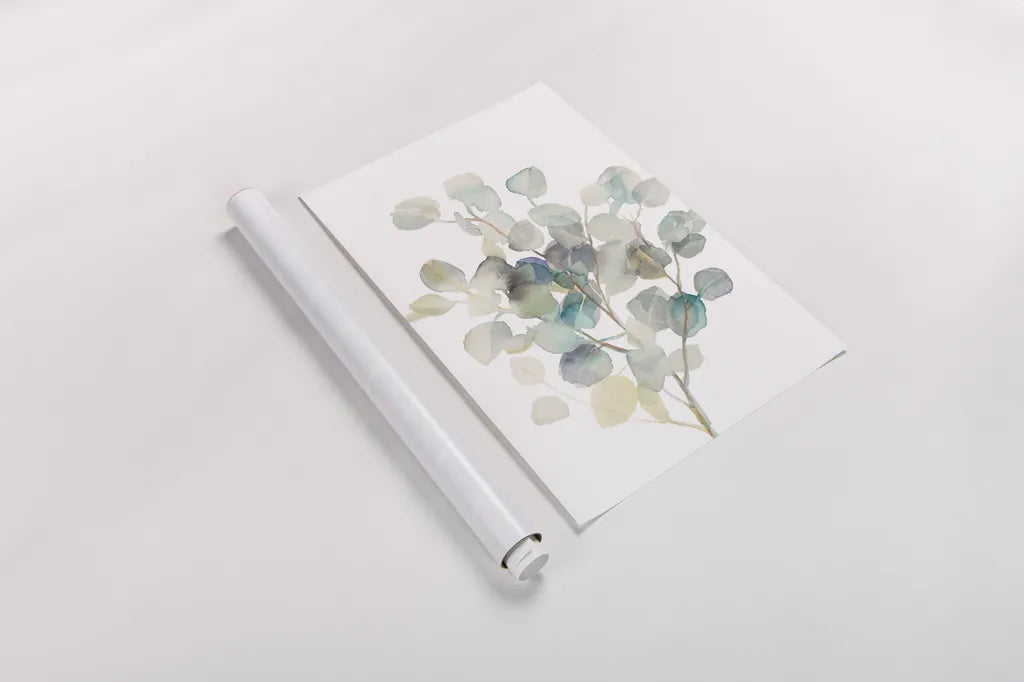 Eucalyptus III White Crop by Danhui Nai. shown as a rolled paper print. Available as archival giclee rolled canvas, fine art paper, or poster print. SKU 35491h.