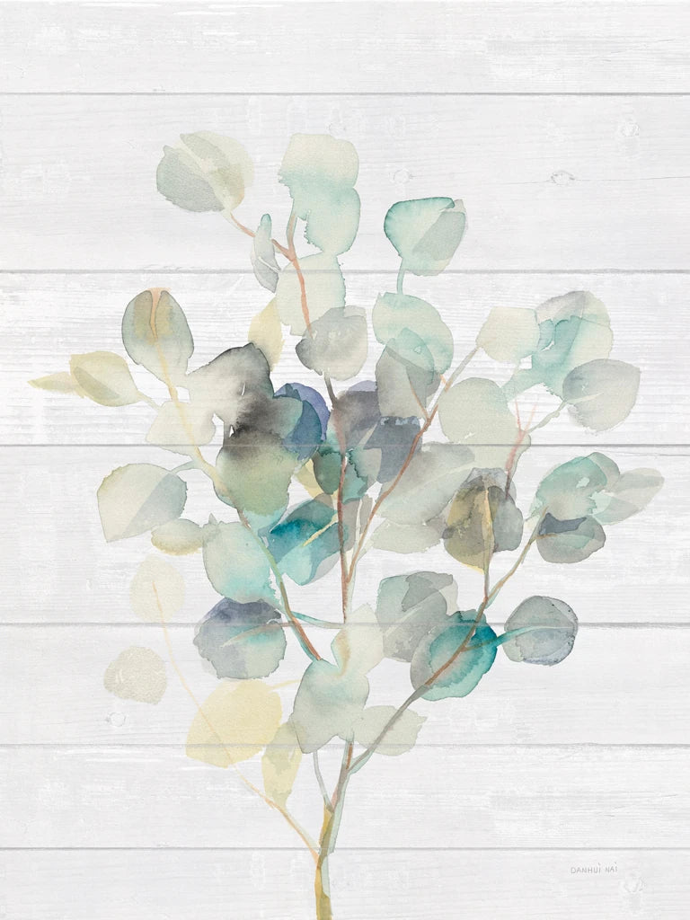 Eucalyptus III on Shiplap by Danhui Nai