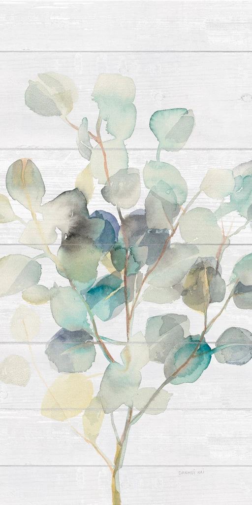 Eucalyptus III on Shiplap Crop by Danhui Nai