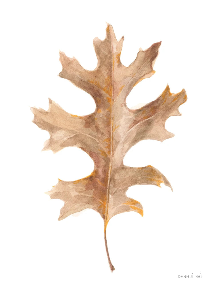 Fallen Leaf I by Danhui Nai