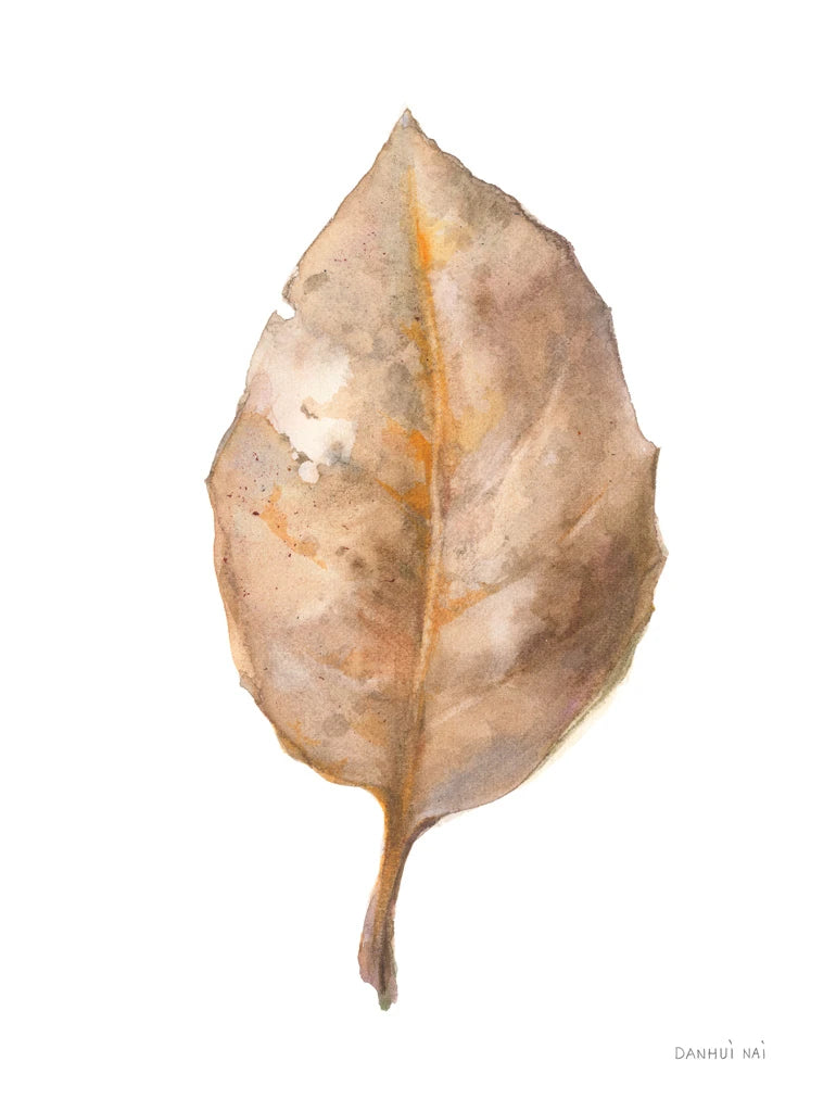 Fallen Leaf II by Danhui Nai