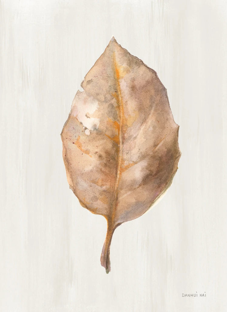 Fallen Leaf II Texture by Danhui Nai